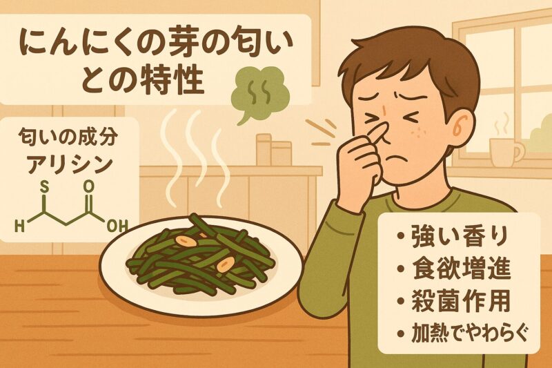 ニンニクの芽の匂いとその特性