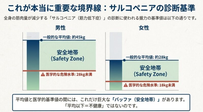 握力の平均値と医学的なサルコペニア診断基準値の間にある安全地帯(セーフティゾーン)の図解