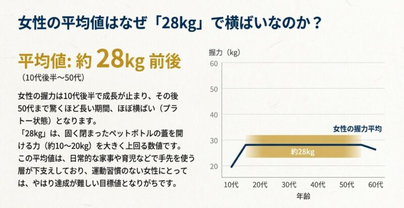 10代後半から50代まで約28kgで横ばいとなる女性の握力平均値グラフ